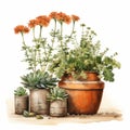 Rustic Southwest Vibes: Watercolor Succulent Illustration With Terracotta Pots