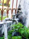 Rustic Spigot / Faucet on Garden Royalty Free Stock Photo