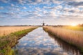 Rustic spring landscape with dutch windmills