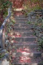 Rustic Stairway in Fall with Leaves on Steps Royalty Free Stock Photo