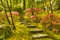 Rustic stairs Royalty Free Stock Photo