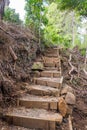 Rustic stairs with steep steps on walking trail to Wairoa Stream