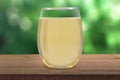 Rustic Stemless Wine Glass Mockup Outdoors