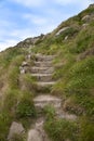 Rustic Steps Into The Dunes Royalty Free Stock Photo