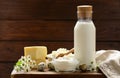 Rustic Still Life Dairy Products - cottage cheese, sour cream, cheese Royalty Free Stock Photo