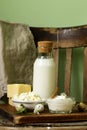 Rustic Still Life Dairy Products - cottage cheese, sour cream, cheese Royalty Free Stock Photo