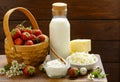 Rustic Still Life Dairy Products - cottage cheese, sour cream, cheese Royalty Free Stock Photo