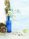 A rustic still life with daisies Royalty Free Stock Photo