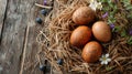 Still life of speckled eggs in a nest with flowers and blueberries Royalty Free Stock Photo