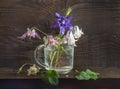 Rustic still life in a glass mug beautiful flowers pink white blue Aquilegia wooden background Royalty Free Stock Photo