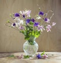 Rustic still life in a glass vase beautiful flowers pink white blue Aquilegia wooden background. AquilÃÂ©gia vulgÃÂ¡ris of the Royalty Free Stock Photo