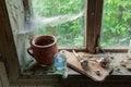 Rustic still life with jug Royalty Free Stock Photo