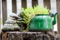 Rustic still life with old kettle on the wooden stump background in summer garden.