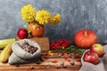 Rustic still life. Pumpkin, apples, corn and nuts in burlap Royalty Free Stock Photo