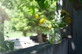 Rustic still life, Summer flowers in glass jar on wooden fence Royalty Free Stock Photo