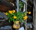 Rustic still life, Summer flowers in old clay jag. Still life of rural life Royalty Free Stock Photo