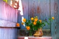 Rustic still life, Summer flowers in old clay jag. Still life of rural life Royalty Free Stock Photo