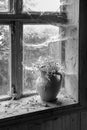 Rustic still life with wild flowers in brown clay jug Royalty Free Stock Photo