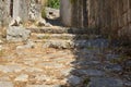 Rustic stone path