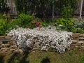 Rustic stone wall covered with flowers.Rustikale Steinmauer und Buntglas, bedeckt mit Blumen. Mur de pierre rustique et vitrail, Royalty Free Stock Photo