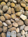 Rustic Stone Wall Texture With Rounded Rocks and Yellow Lichen Royalty Free Stock Photo