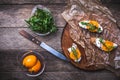 Rustic style Bruschetta snacks with tomatoes and salad rocket Royalty Free Stock Photo