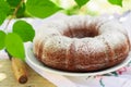 Rustic Style Bundt Cake Sprinkled with Icing Sugar Royalty Free Stock Photo
