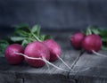 Rustic style. Fresh Radishes on the wooden table.