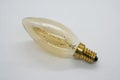 Rustic style Light Bulb. Vintage Light Bulb.