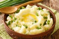 Rustic style Mashed potatoes with green onions and butter close-up in a bowl. horizontal