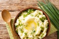 Rustic style Mashed potatoes with green onions and butter close-up in a bowl. horizontal top view