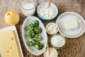 Differetn kinds of soft white cheese and emmental. Royalty Free Stock Photo