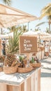 Rustic Table Displaying Pineapple and Drinks with a Zero Waste Sign in Outdoor Setting for Living Sustainably Royalty Free Stock Photo