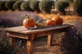 Rustic table with four pumpkins placed on it against a backdrop of a beautiful lavender field.