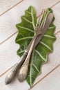 Rustic table place setting, top view, knife and fork on a leaf