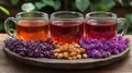 rustic table set featuring herbal teas in glass cups, surrounded by vibrant flowers and dried herbs, creating serene and inviting Royalty Free Stock Photo