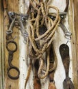 A Rustic Tack Room Wall Full of Vintage Horse Tack Royalty Free Stock Photo