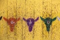 Rustic target background - for archery - stencil cow heads in different colors with bullseyes on foreheads on grungy yellow boards Royalty Free Stock Photo