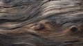 Weathered Wood Texture: Decaying Landscapes In Uhd