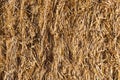 golden wheat straw bale textured background