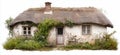 Rustic thatched roof cottage on white background for design and decor projects Royalty Free Stock Photo