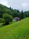 Traditional Cottage on Lush Green Hillside by Forest Royalty Free Stock Photo