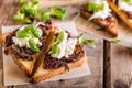 Rustic toast with caramelized onion and goat cheese