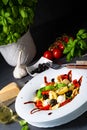 Rustic tortellini pasta salad with mozzarella Royalty Free Stock Photo