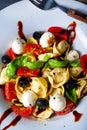 Rustic tortellini pasta salad with mozzarella Royalty Free Stock Photo