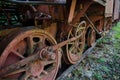 Rustic train in jungle