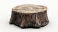 Old Tree Stump on White Background Royalty Free Stock Photo