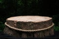 Rustic tree stump with rope