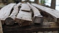 Rustic Tropical wood abandoned bench