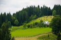 Shades of green grass at the farm